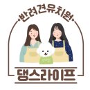 댕스라이프 이미지