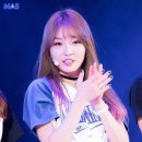 김청하 카카오 검색결과