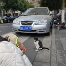 S1무인호텔 | [중국 난징 경유 / 스탑오버 여행] 02. 난징 공항에서 라오먼동 by 메트로(지하철) ㅣ 난징 지하철 노선도