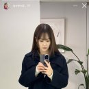올리브스토리