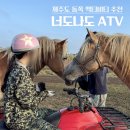 동쪽으로 | 제주도 동쪽 액티비티 제주 이색 놀거리 추천 너도나도 ATV 체험 후기