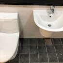 국화한신 이미지