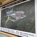 씨엔엔 | 2026 부산 삼광사 연등축제 일정 대중교통 실제후기 | CNN 선정 한국의 아름다운 명소