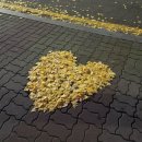 백골의원 | 건강검진 Day