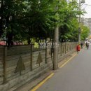 방배로 239 Daum카페