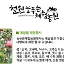 법인늘푸른농원