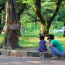 나무사이로 햇살이 이미지