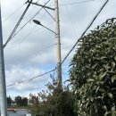 순희민박 이미지