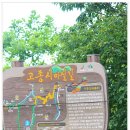 고종시마실길 이미지