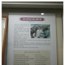광무목장 Daum카페