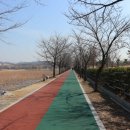 화랑유원지_경기도미술관주변 이미지