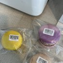 상남동237 이미지