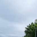 표선환승정류장 이미지