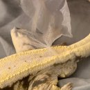 수원-0615 | 250609-0615