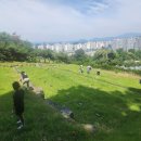 6/9- 종중 시제, 고추잎나물, 양파와 마늘수확, 이미지