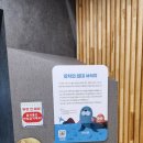 독도환경 | [인천 아이와 가볼만한곳] 인천학생문화회관 독도체험관 무료 관람 후기 (실내 체험 추천)