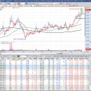 고래사냥꾼 20251004 관심종목＜제주반도체,GST＞ 이미지