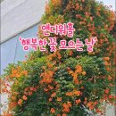 행복한 날에(happy narae) | 앤디워홀 행복한 꽃모으는 날.feat 대전 능소화 꽃