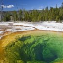 옐로우스톤 이미지