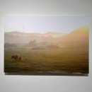 정종수 | 종로 인사동 사진전 포토그래퍼 정종수 사진작가 개인전 관람 후기