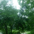 제일 요양원 이미지