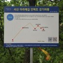 아라메길 (삼길나루길-벚꽃길) 이미지