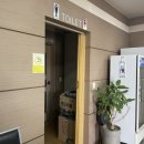 파라솔장어 이미지