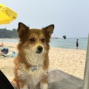 하포횟집 | 강릉여행(양양,멍비치,바다빛무지개펜션,양양전통시장)