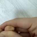 영광중앙육교게시대 | [아시아/필리핀/콘서트] 240809~240812 엔시티드림 마닐라 콘서트 해외투어 엔드림 마닐라콘 더드림쇼3...