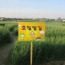 신진도드림 이미지