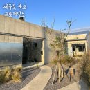 프로퍼밀도 이미지