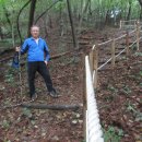 세심자연휴양림 이미지