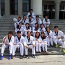 목련태권도 이미지