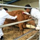 안동봉화축협동물병원 이미지