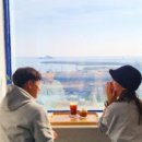 예그리다 이미지