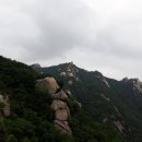 수락이오냉면 이미지