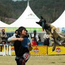 사선대주차장화장실 이미지