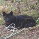 경북주유소 이미지