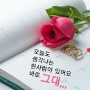 지민님 이미지