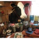 신촌목장 이미지