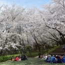 밧줄이용 하산 이미지