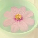 봉천한의원 이미지