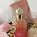 아쿠아데이 | 겔랑 여자 향수 아쿠아 알레고리아 펄 플로라블룸 발렌타인데이 선물 추천 이유