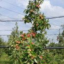 성원2농장 이미지