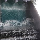 조영래농장 이미지