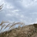 명대계곡 화장실 이미지