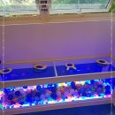 카페패밀리 이미지