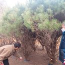 청산정원 이미지