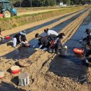 고성군청 이미지