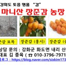 육미감